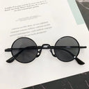 Elegant round sunglasses in multiple colors and metal frame